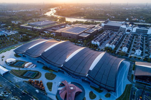 拔節生長 桐鄉7年間數字經濟企業從355家增至2443家