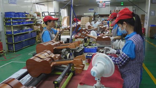 他，在南靖建起全球尤克里里單項產品產值最大工廠